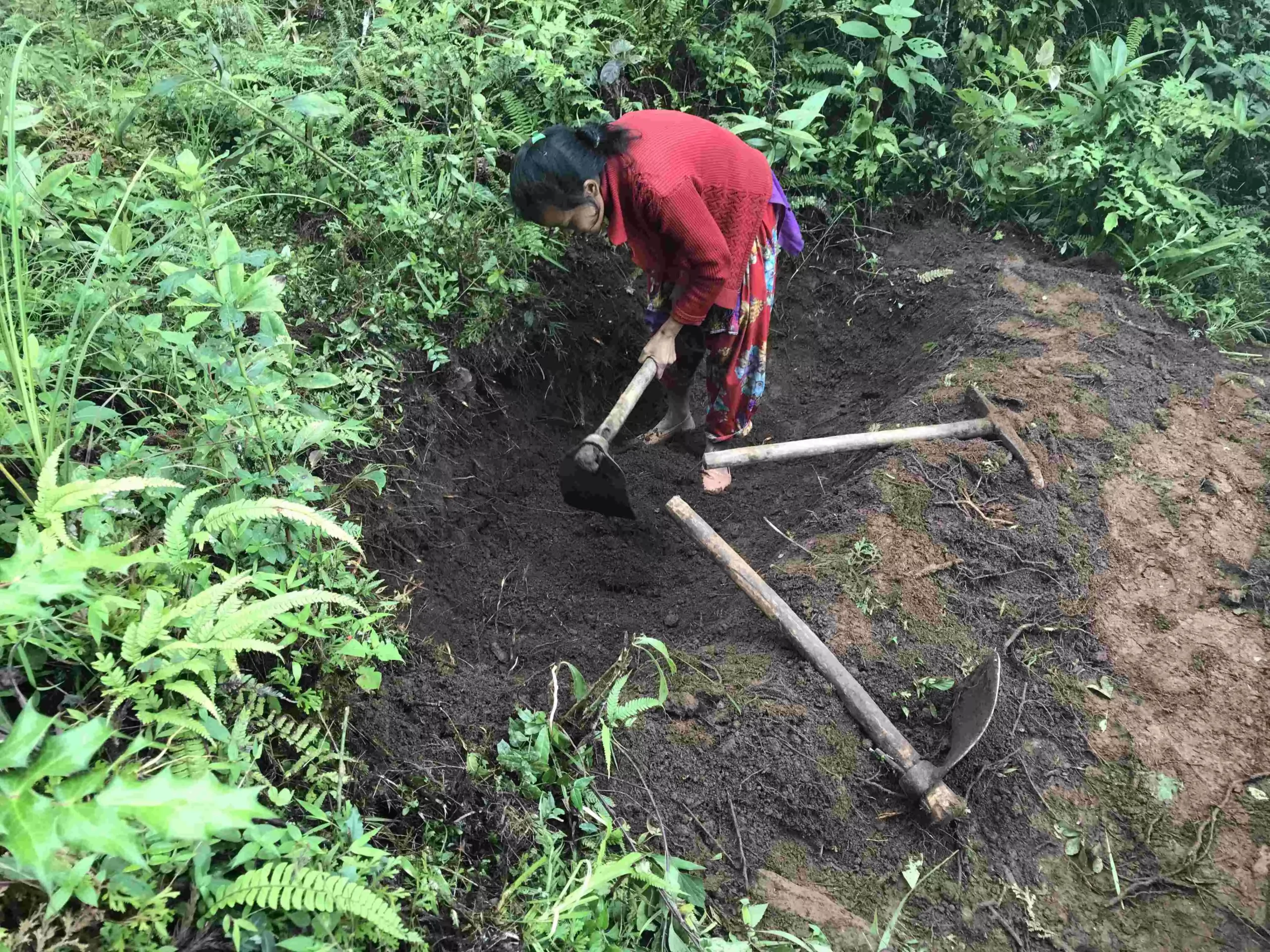 High women participation in labour force reduces the overall vulnerability of the state. Pic: Nidhi Jamwal