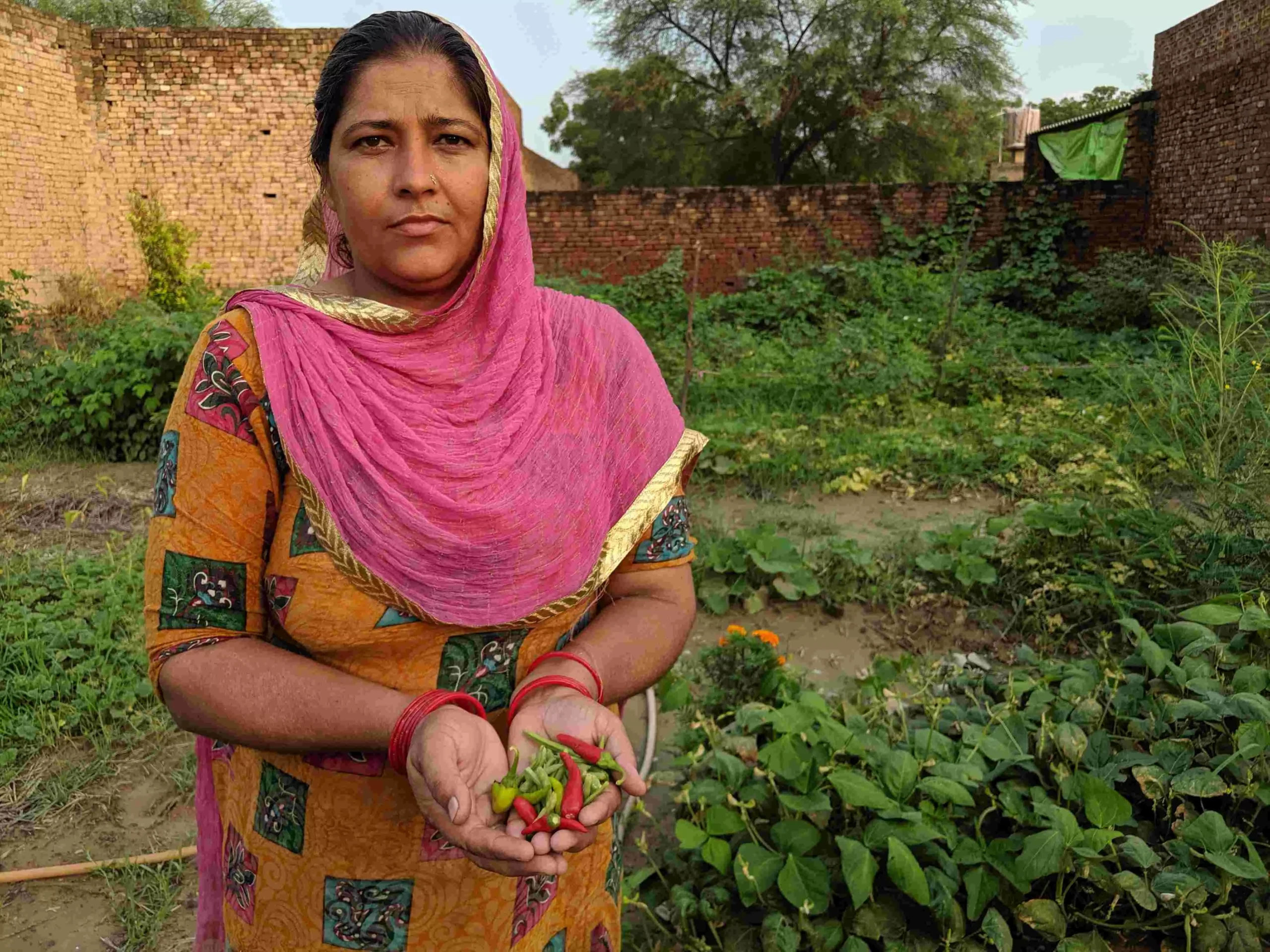 Karamjeet Kaur also earns her livelihood by selling these vegetables