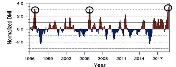 Figure provided by Prof. Saji Hameed, University of Aizu, Japan.