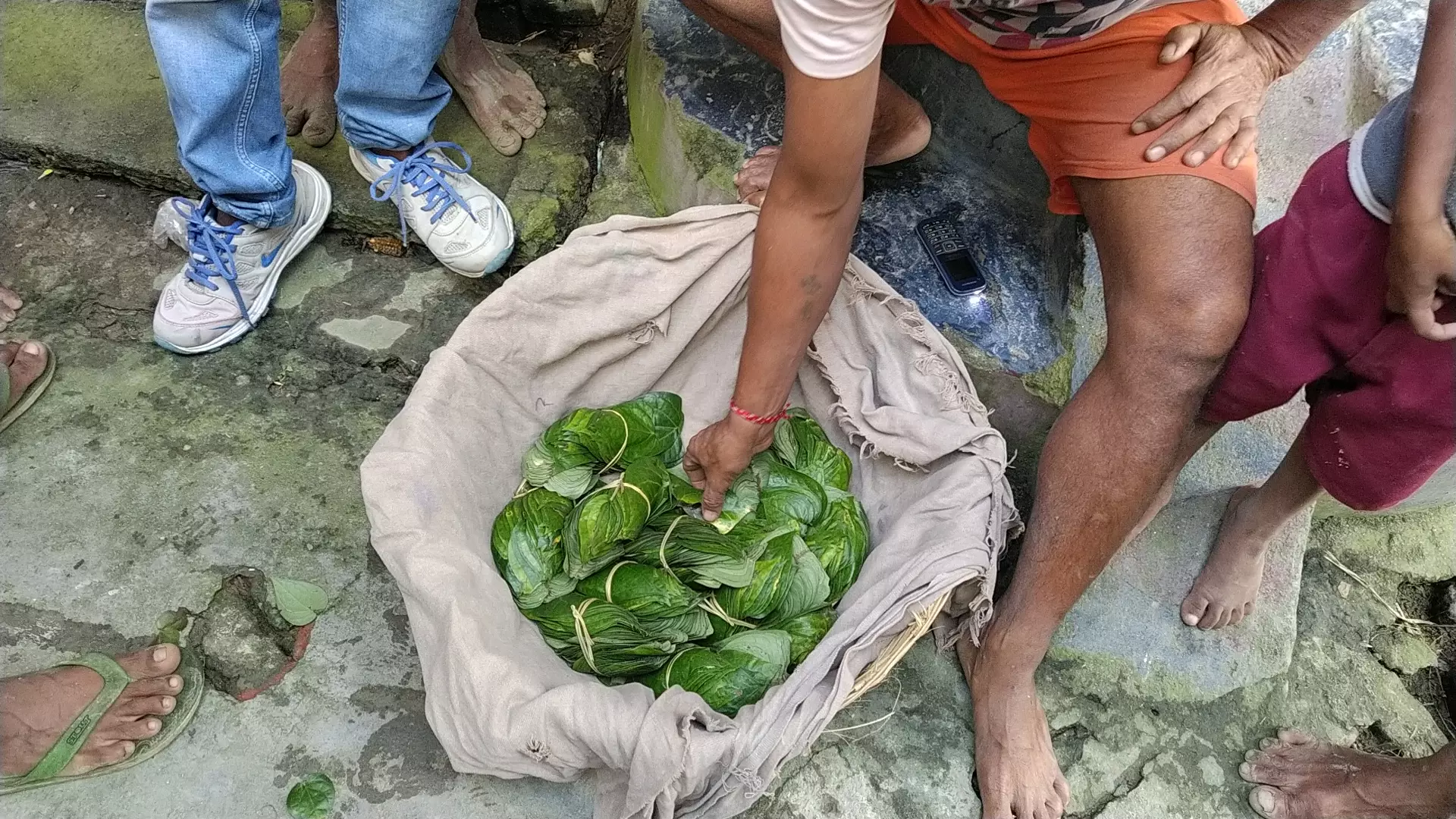 पान की ढोली सजाते पान किसान। एक ढोली के गठ्ठे (२०० पत्ते) का उन्हें सिर्फ दस या कभी-कभी बीस रुपये मिल जाता है, जिसके लिए उन्हें बनारस जाना पड़ता है।