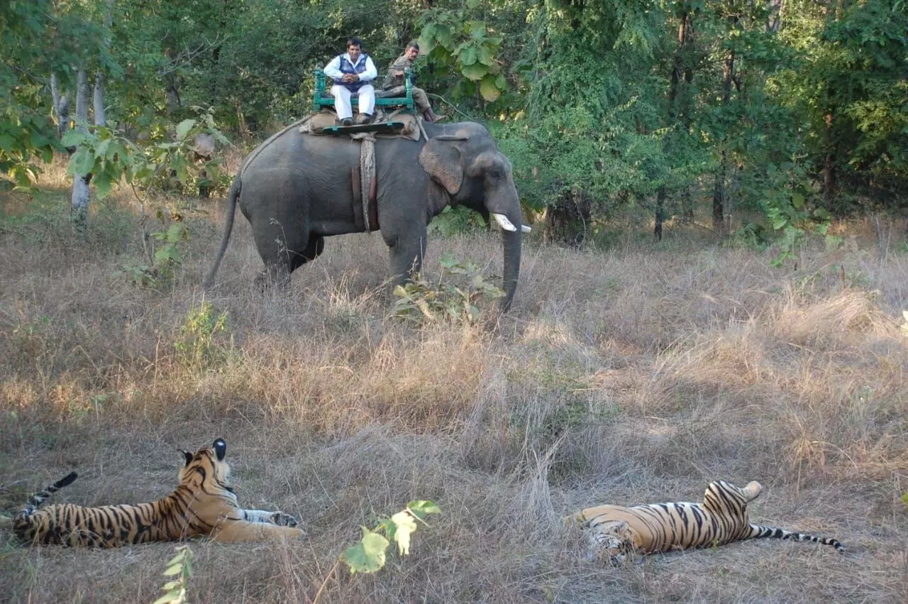 Rambahadur with his mahout at one of the patrolling vigils. 