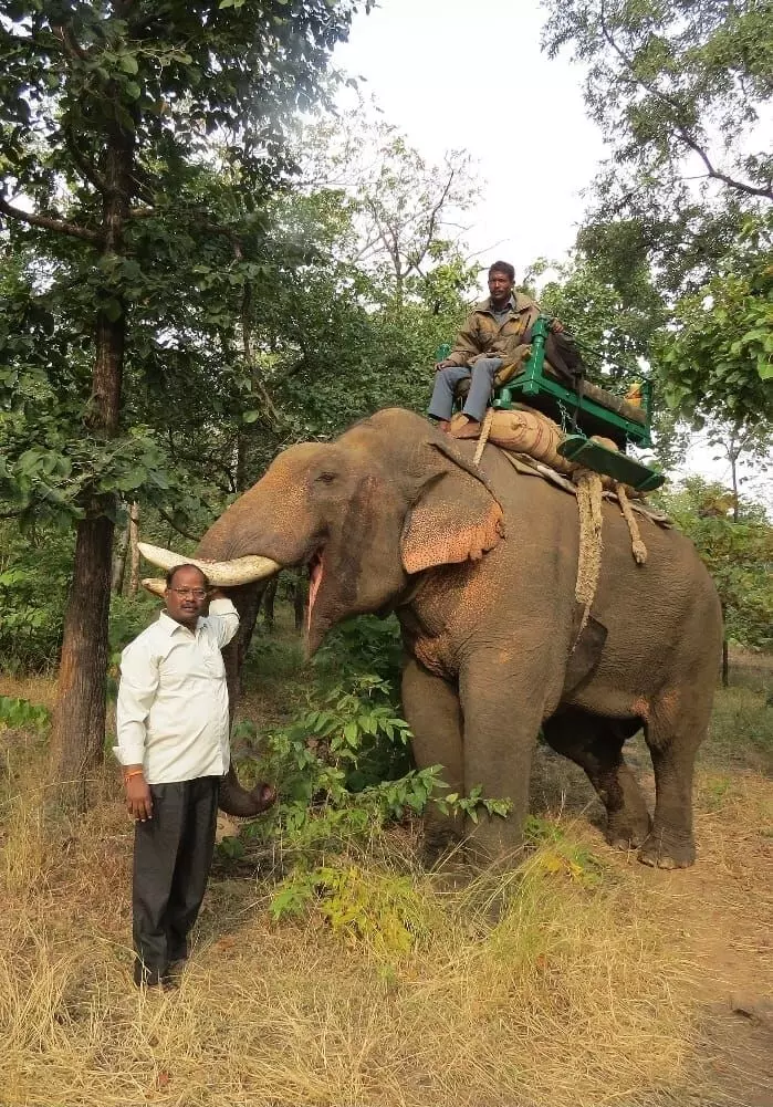 Murthy with the tusker during his tenure as the field director at Panna.