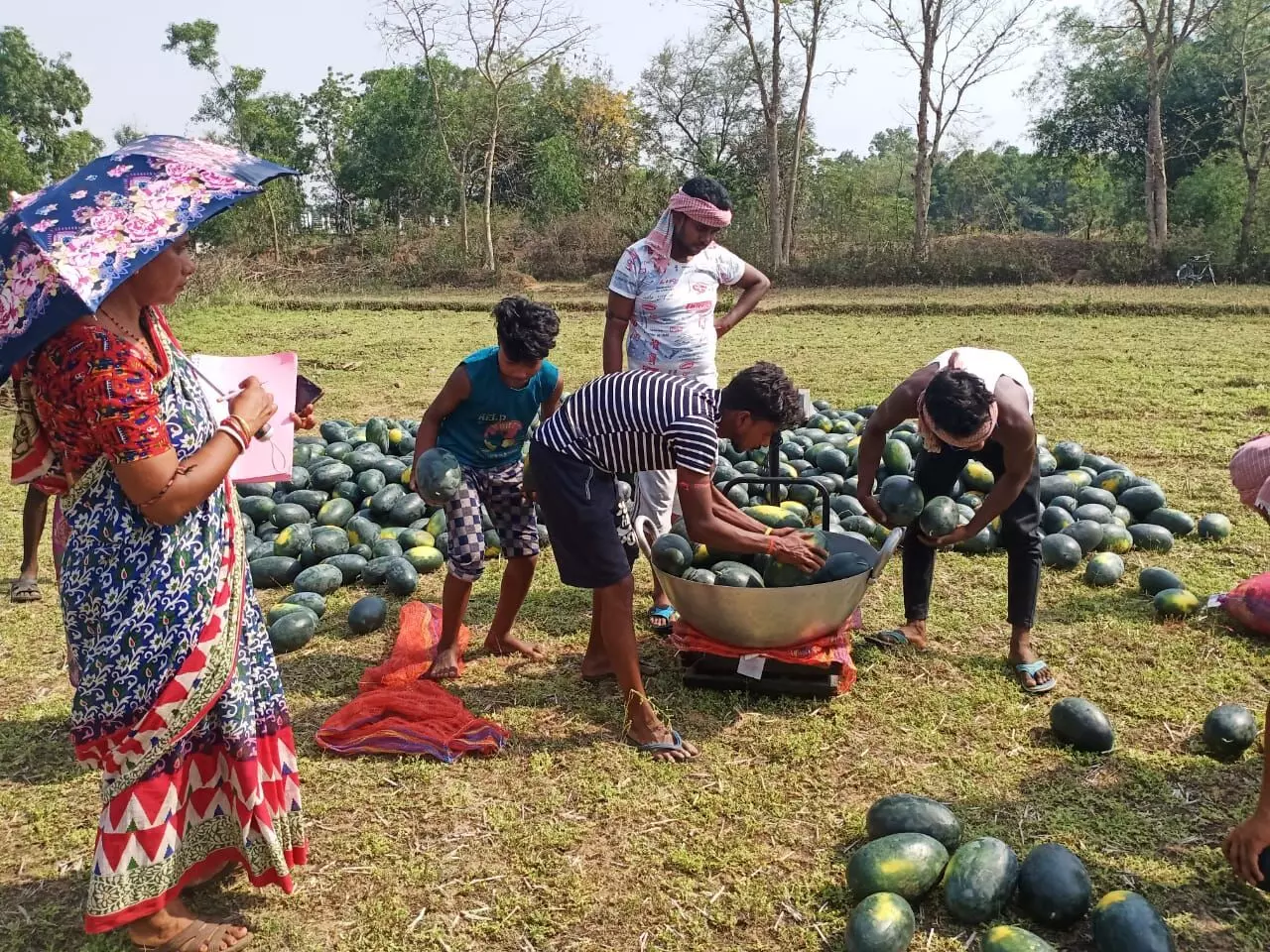 A women-led farmer producer company has also been set up which is helping with marketing of the produce. Photo: By arrangement