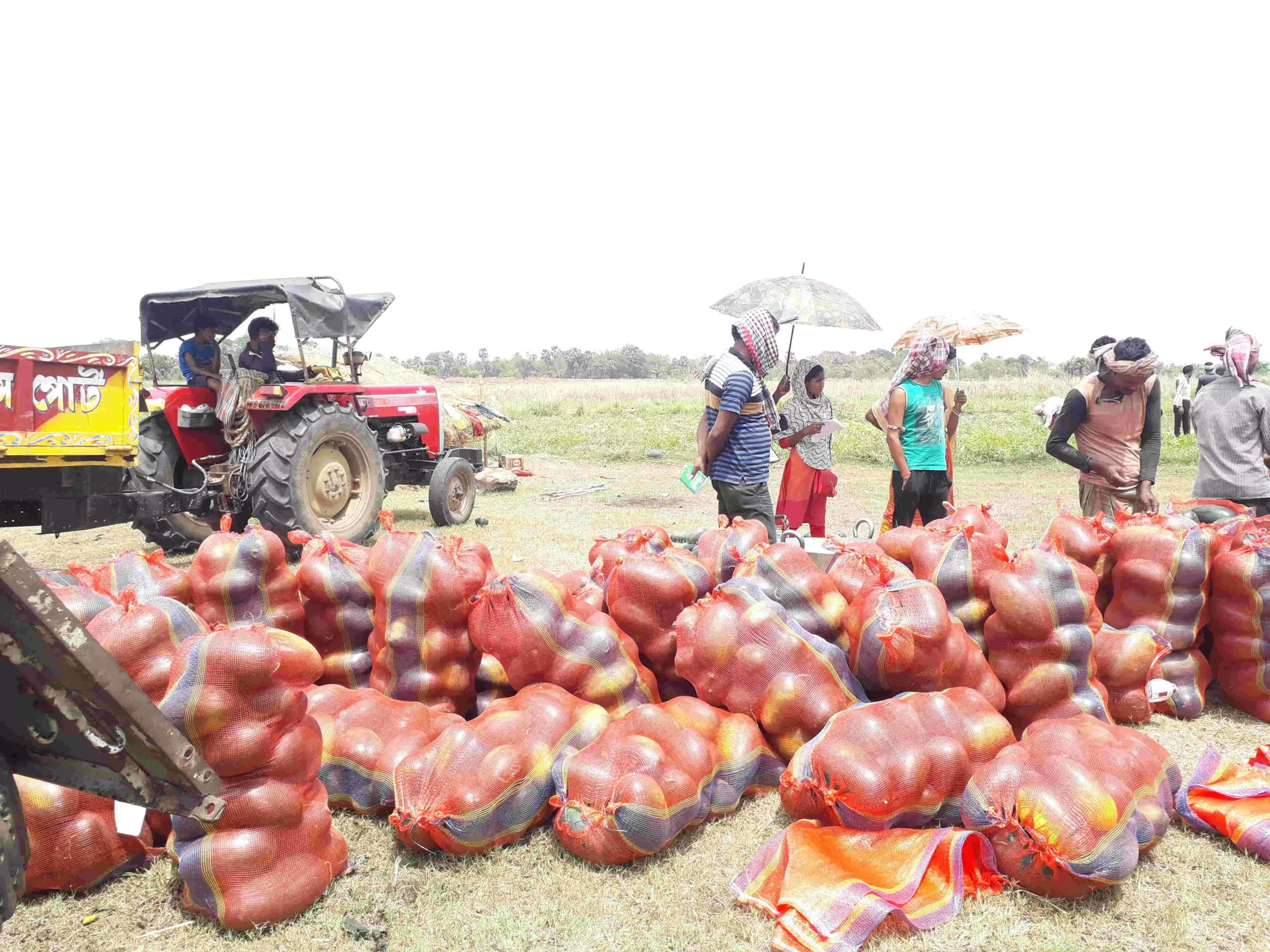 The FPC marketed 222.37 MT of 140 farmers which made an impact on farmers by providing an increased income of Rs 24.23 lakhs. Photo: By arrangement