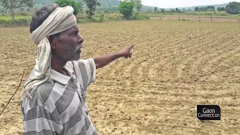 Despite large scale deficient rainfall and growing angst of the farmers, the state government is yet to declare drought and roll out drought relief measures. (File picture)