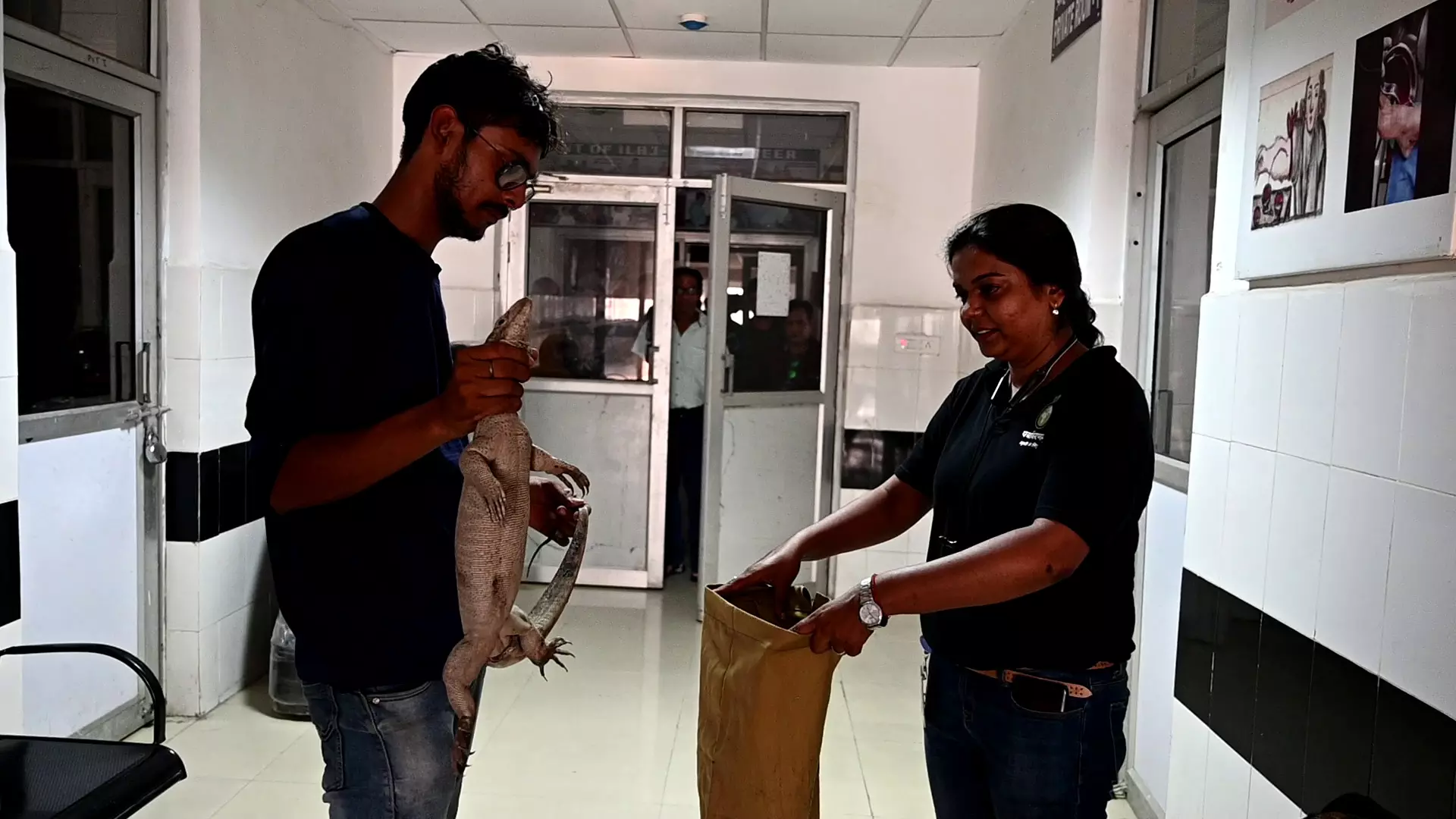 Devyani Singh rescuing monitor lizard. Photo: By arrangement