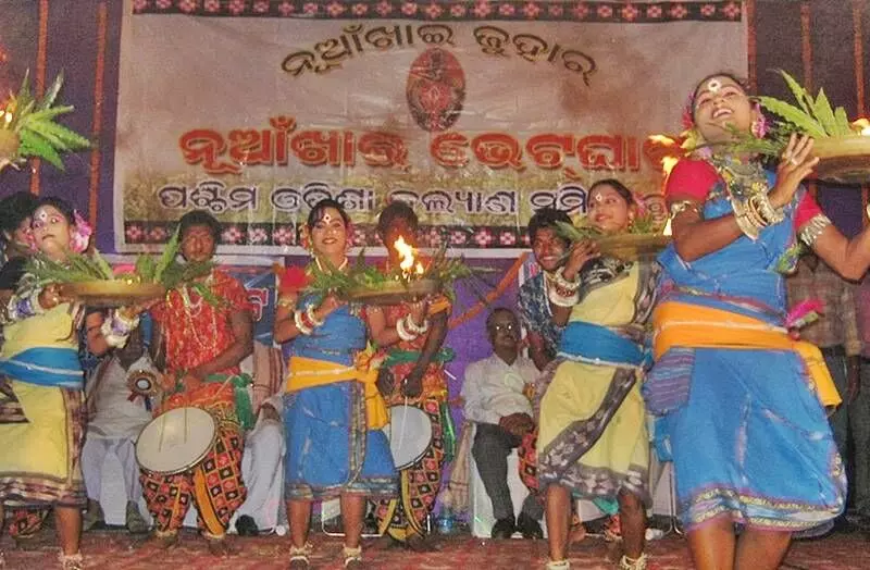 The districts where Nuakhai is widely celebrated include Kalahandi, Sambalpur, Balangir, Bargarh, Sundargarh, Nuapada, Sonepur, Boudh and Jharsuguda. Photo by Creative Commons