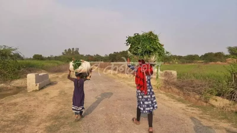 More than two-thirds of agricultural labourers are women, and almost 78 per cent of them have reportedly faced sexual assault.