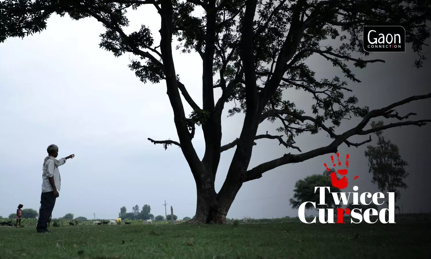 Every morning Sohan Lal walks past this tree, where dead bodies of his daughter and niece were found hanging.