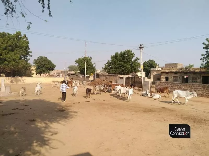 While the villages that are located near the Indira Gandhi Canal get water for irrigation purposes, Khetolai is still waiting, high and dry. 