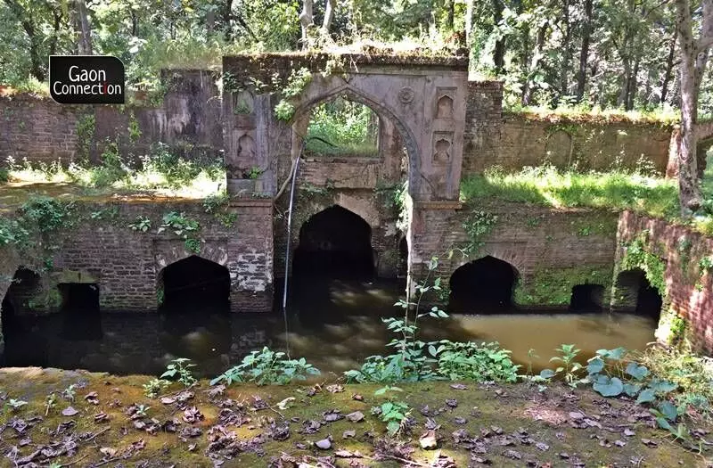 There are at least nine different baoris (step wells) both atop the hill as well as few spread around at the foothill. 