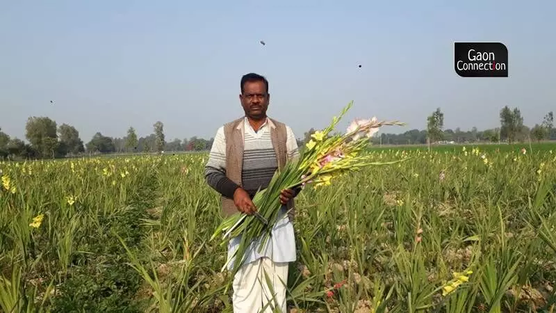 Anil Verma was one of the first in the district to cultivate gladiolus flowers.