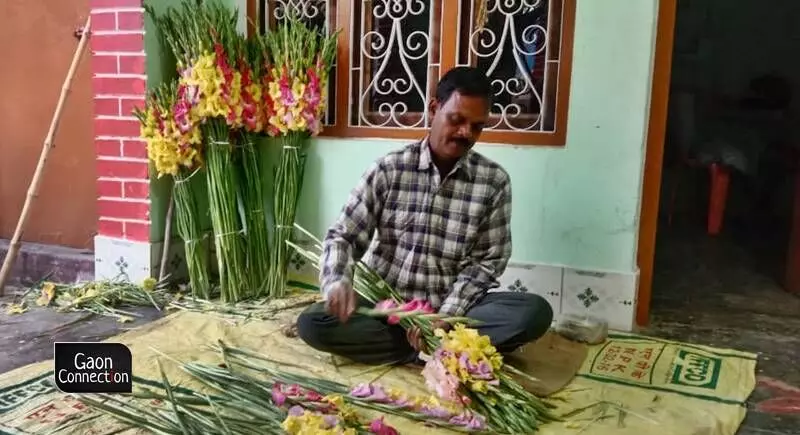 The gladiolus flowers are in great demand and are sent in great numbers to the neighbouring district of Lucknow as well as to New Delhi.