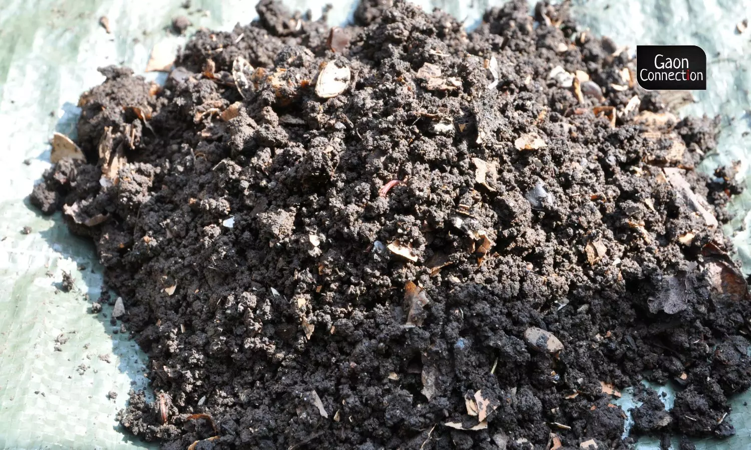 ermicompost, apart from supplying nutrients and growth enhancing hormones to plants, improves the soil structure leading to increase in water and nutrient holding capacities of soil. (Photo sourced via Flickr) 