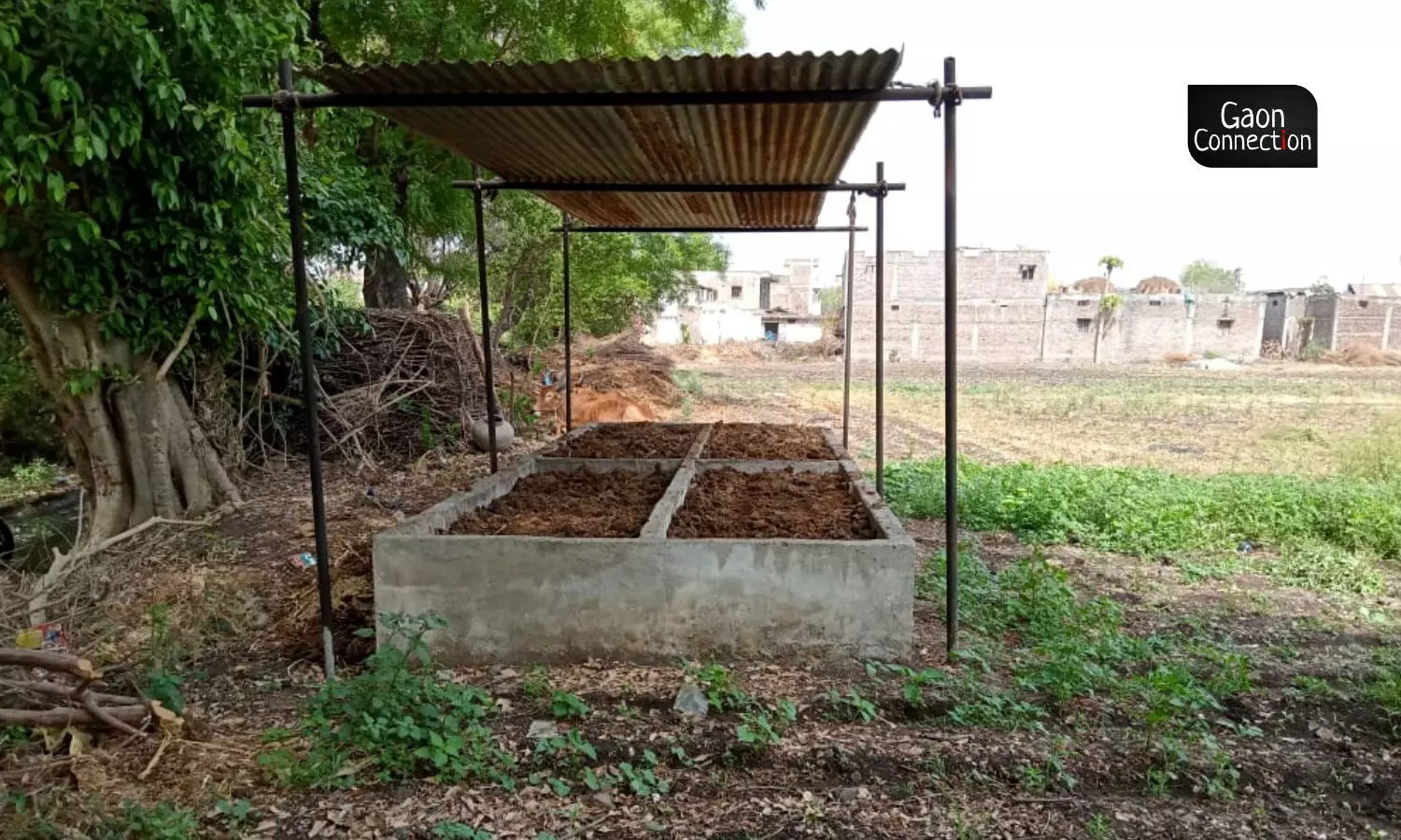 The process of making manure involves dumping the cow dung and other collected organic waste in the vermicompost unit introducing two kilogrammes of earthworms after 15 days which act as a catalyst in the decomposition process. It is vital to provide water for moisture in this deposited waste through the course of 65-90 days.(Photo sourced via TRIF)