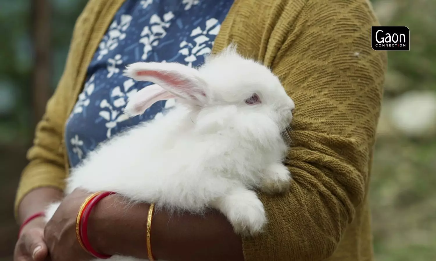 Farmers were given hands-on training on building hutches for the rabbits, on breeding dos and donts, and wool extraction.