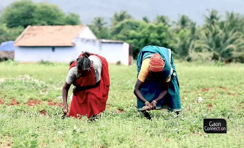 The farmers and their spouses are also provided insurance under the Pradhan Mantri Bima Yojana.