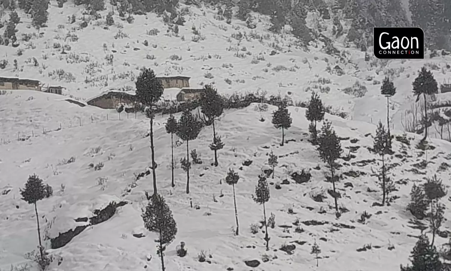 In the harshest of weather, the seasonal teachers travel for kilometers to educate children from the Gujjar and Bakarwal nomadic communities of Kashmir. 