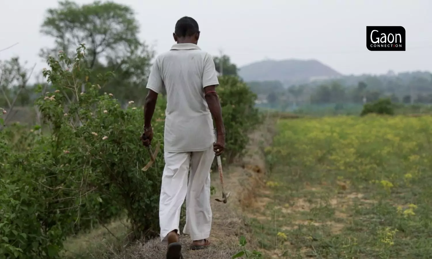 Farmers involved in integrated farming use bio-pesticides from what is available to them from their animals and other produce, which improves the soil health and saves their input cost. 