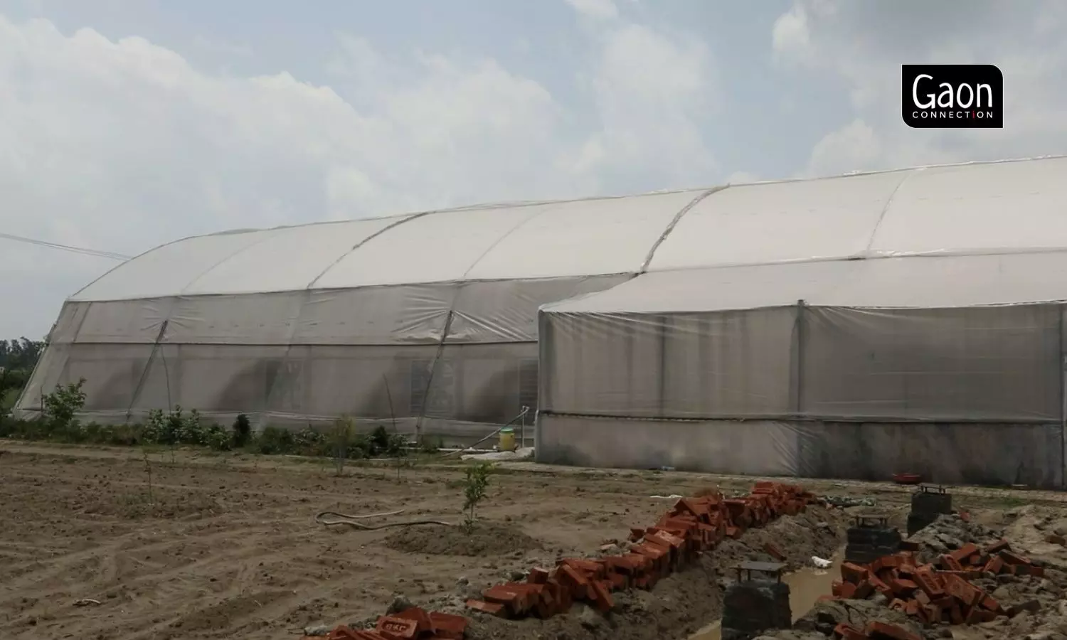 Polyhouse farming involves building a covered structure of either glass or plastic which allows the farmer to grow plants in controlled environmental conditions.