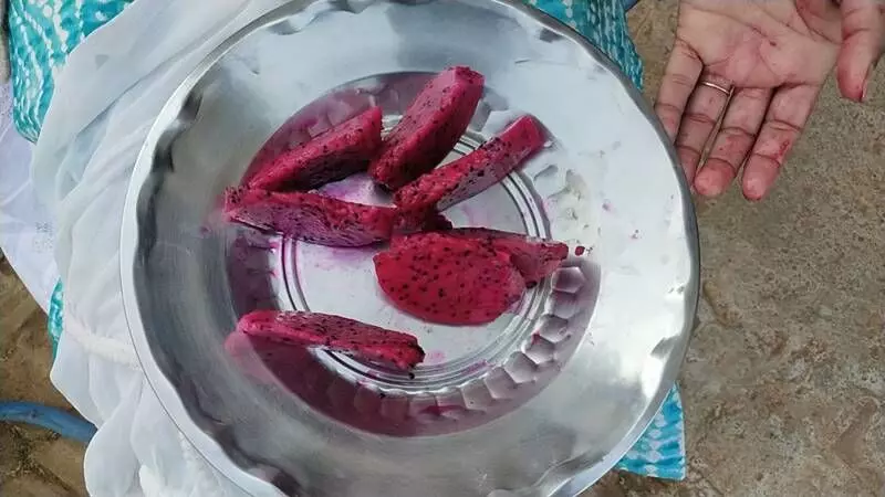 A plate of cut dragon fruit from Vandana Singhs farm.