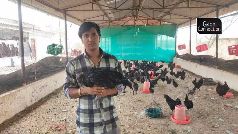 For a long time Vipin Sihore cast about for a suitable job when he remembered a friend who raised Kadaknath chickens. 