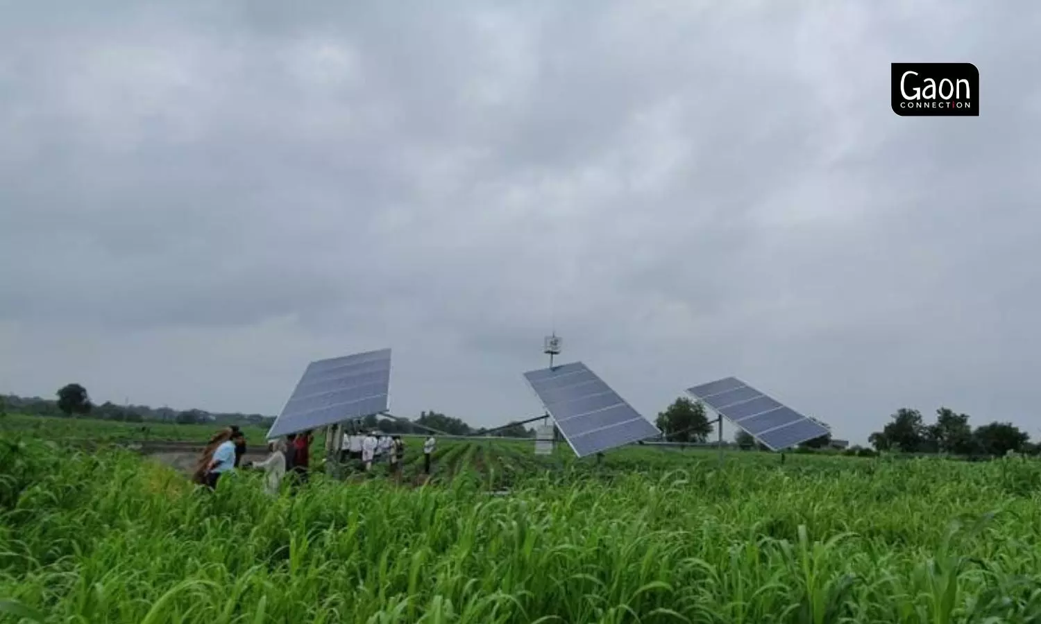 SwitchON Foundation is working with women farmers in West Bengal and offering them mini solar pumps that cost Rs 2 lakh only.