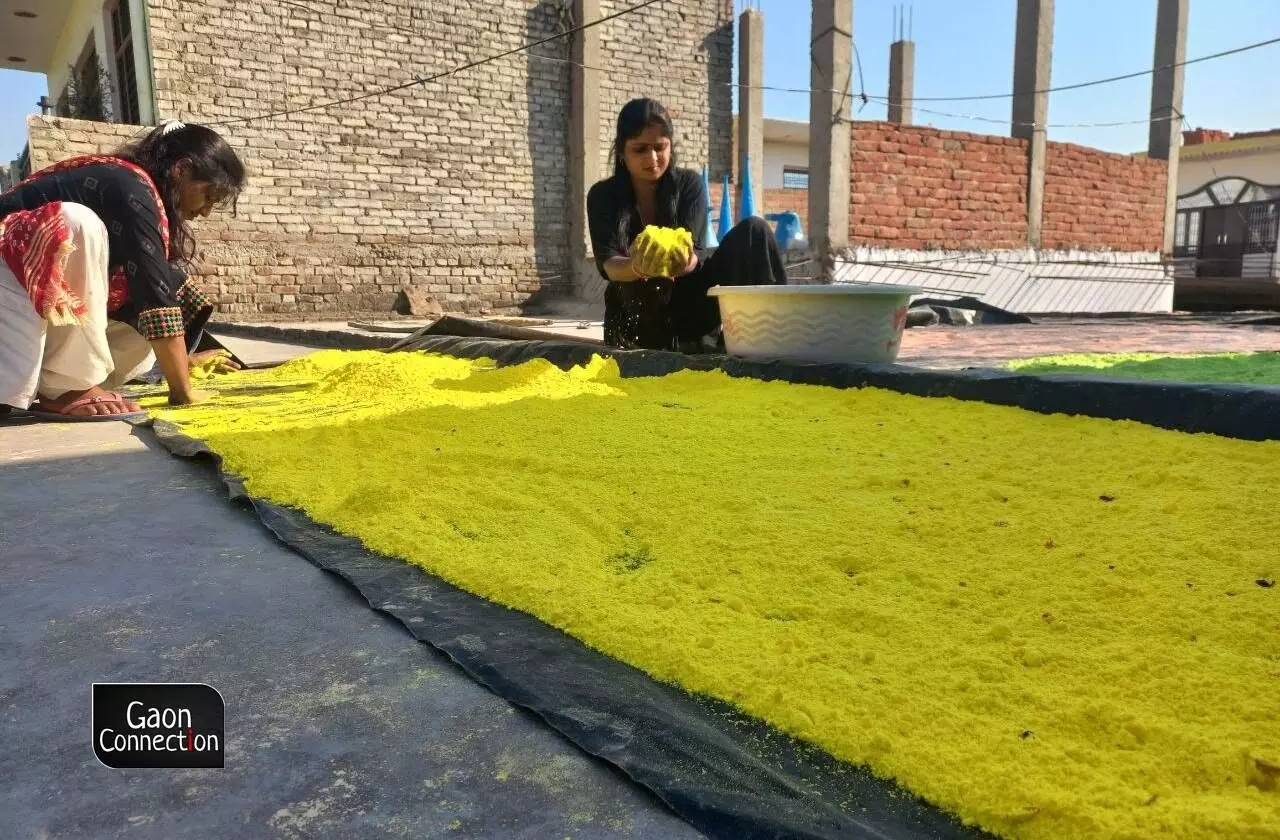 Beetroots, spinach, marigold flowers, etc. are all used now to make the natural colours for Holi