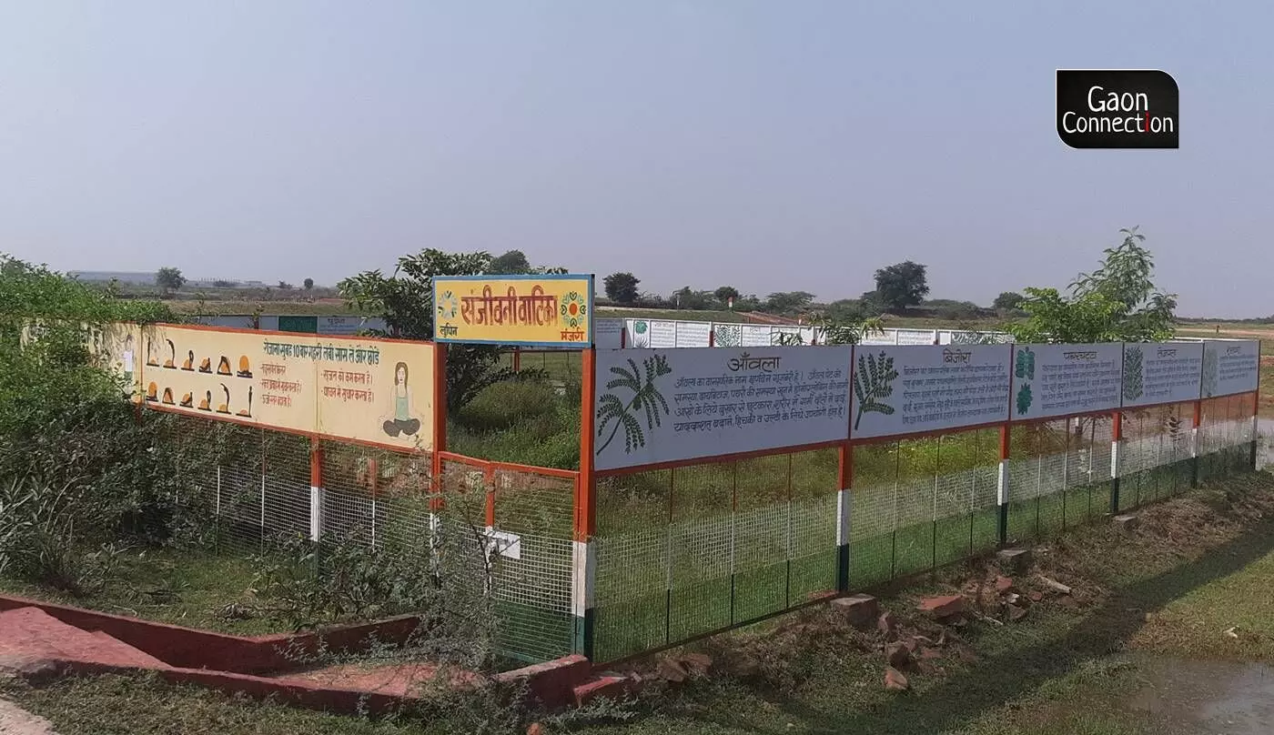 A herbal garden having various kinds of flowers and medicinal plants was constructed at Sanjivani Vatika, near the pond. 