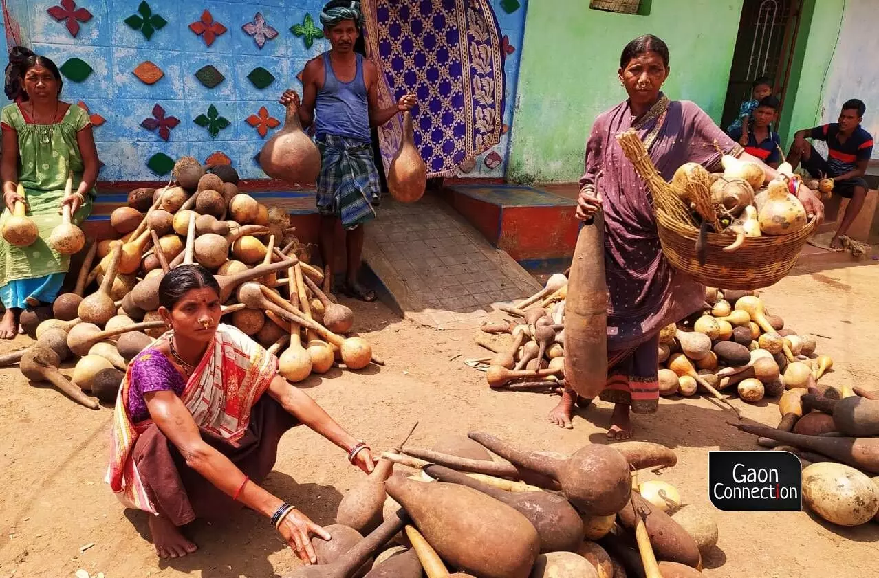 In Odisha’s Rayagada district, the bottle gourd is far more than a vegetable, it’s a means to earn a livelihood for the tribal artists in the rural areas.