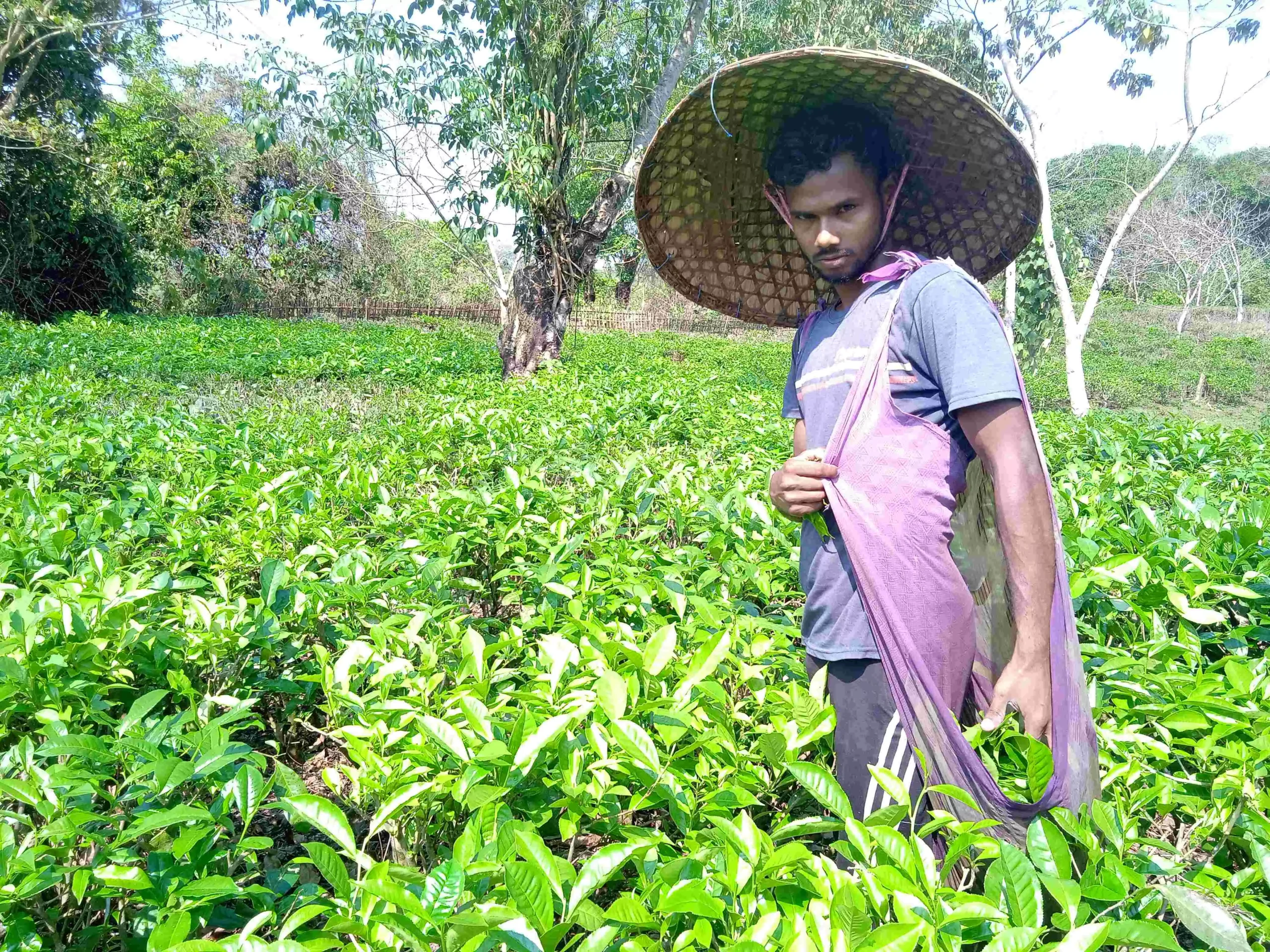 Subhashish Dutta at his farm.