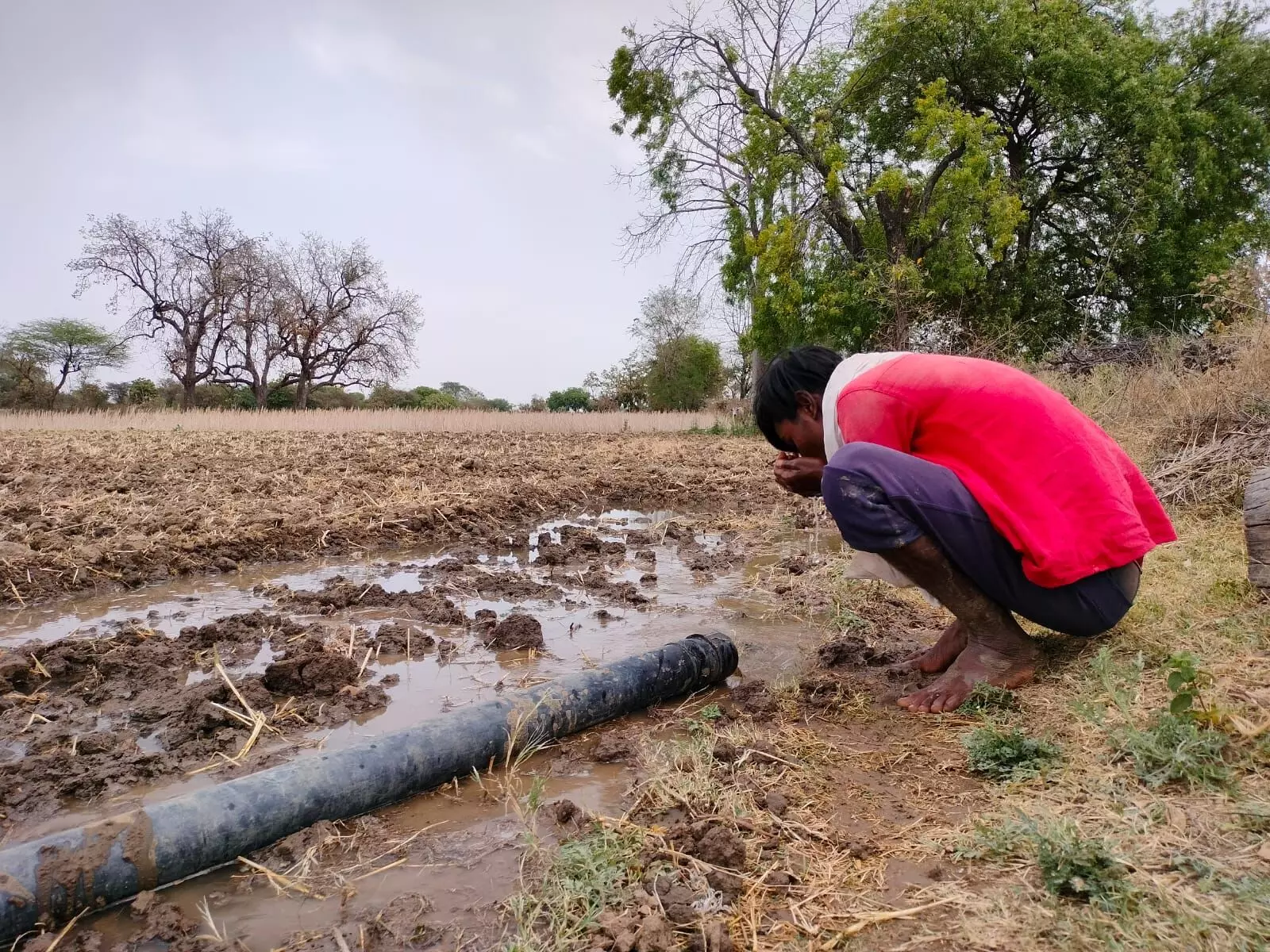  There is a human face to the rising heat in the country and the suffering it is bringing about. And that face is often of a migrant worker in a city, or a daily wage farm labourer in rural India.