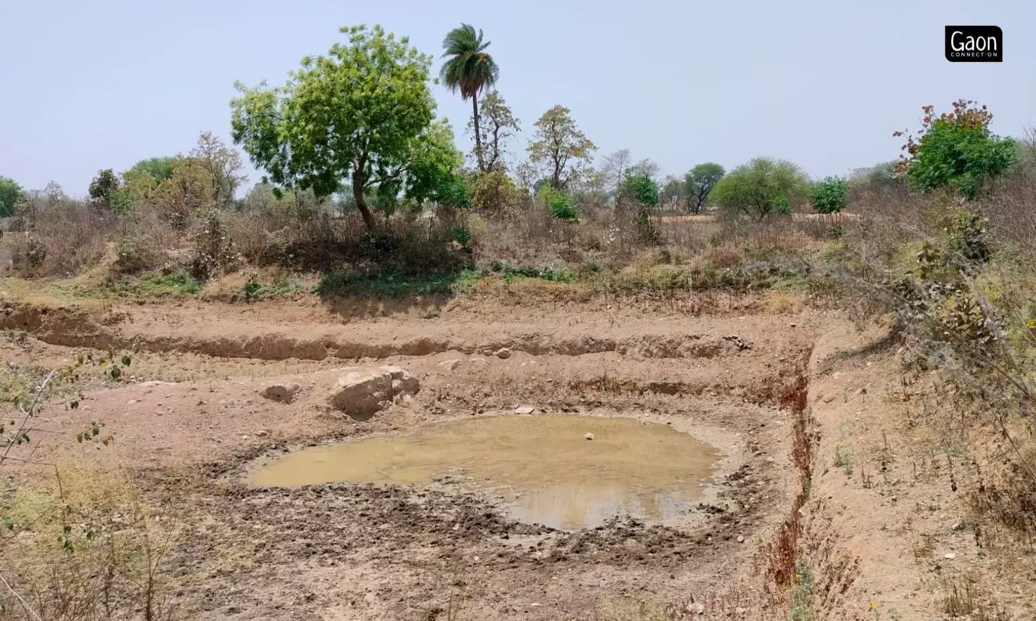 Three years ago, in 2020 a non-profit called Gramonnati, based in Mahoba launched water harvesting programmes in the village.