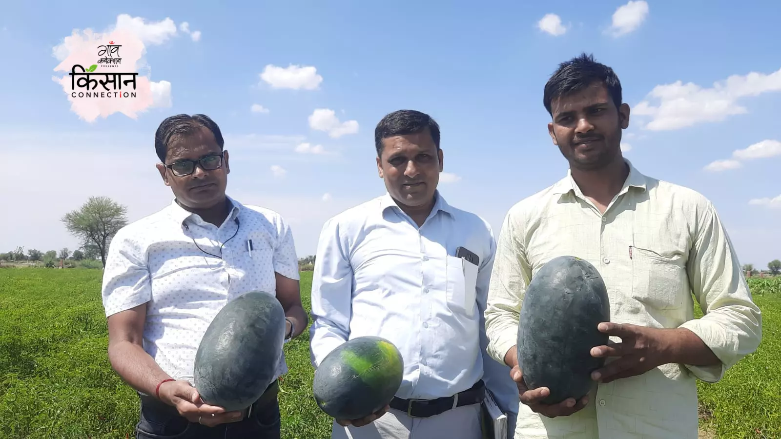 युवा किसान तेजवीर ने खेती के दौरान ड्रिप सिस्टम, मल्च और लो टनल तकनीक का इस्तेमाल किया, जिस पर उन्हें बागवानी विभाग से अनुदान मिला है। 