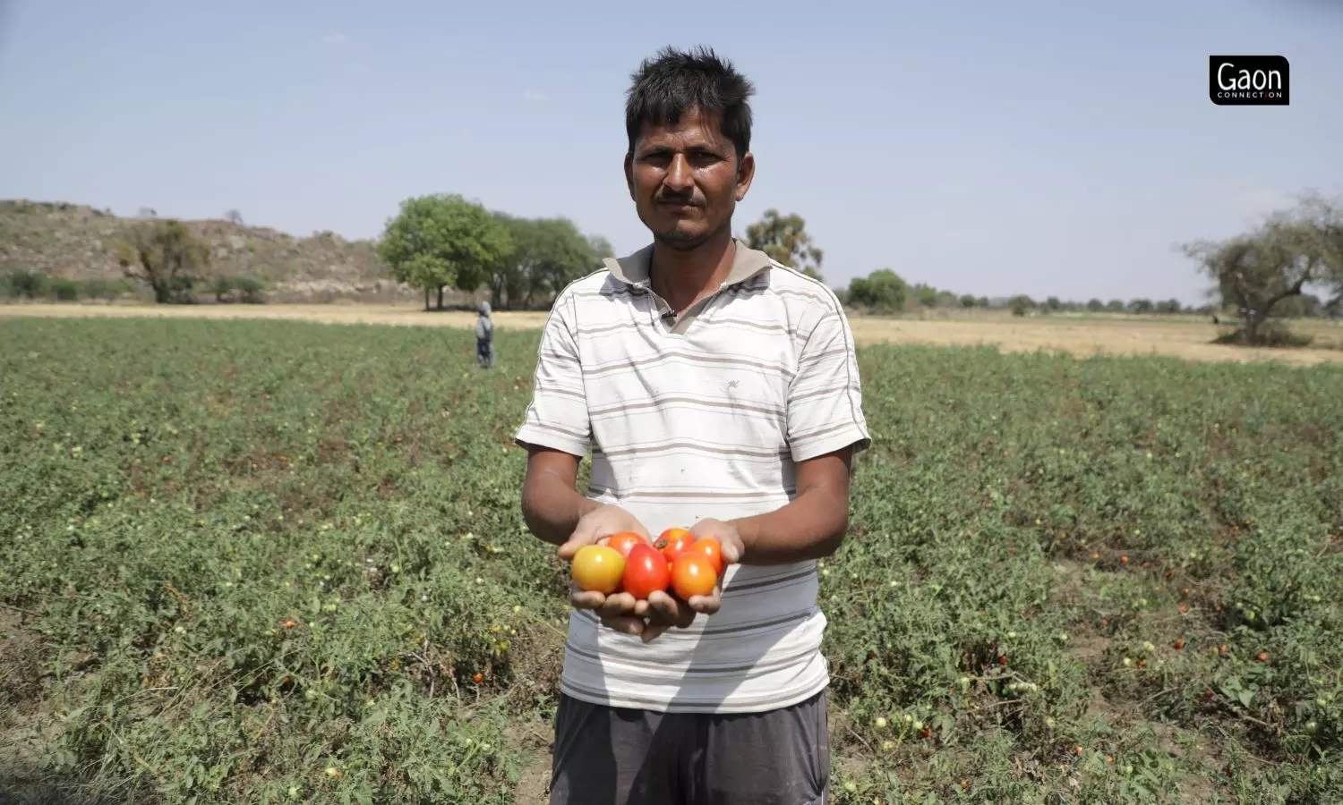 Indresh Rajput, a farmer in Chandpura, Mahoba, takes a third crop after installing solar pump on his fields.