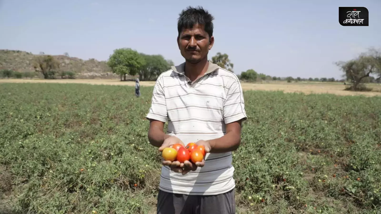 चाँदपुरा गाँव के इंद्रेश राजपूत जैसे कुछ किसान अपनी जमीन पर सब्जियां उगा रहे हैं। 