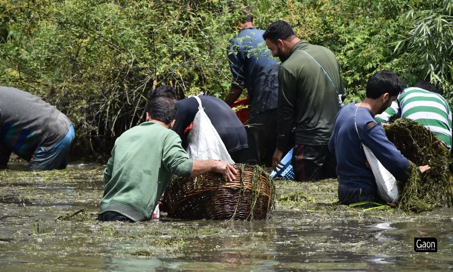 The collective fishing-cum-cleaning activity restores the spring to flow clean and free for the coming months of the year. 