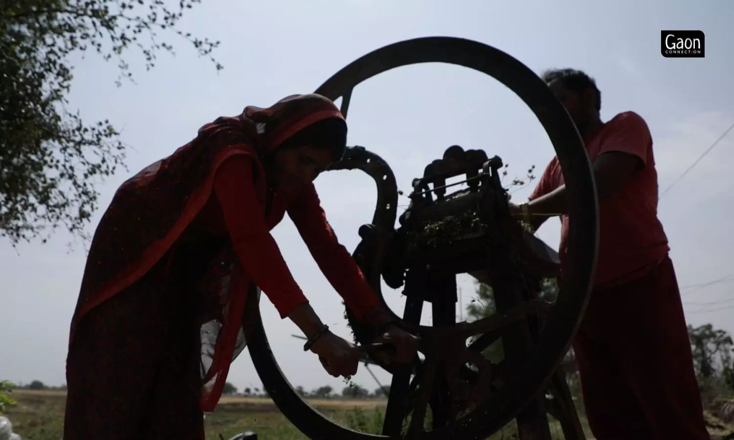 Tara Devi in Tindouli village, Mahoba, Uttar Pradesh manually runs a chaff cutter machine to prepare the feed for her cattle.