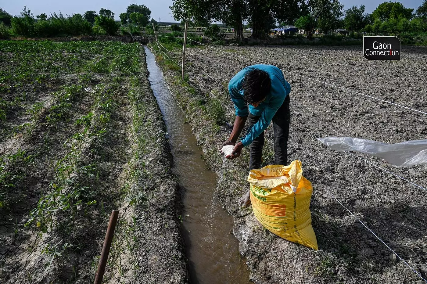 However, water from Yamuna which is one of the most polluted rivers in the world is used to cultivate the vegetables and often chemical fertilisers and pesticides are added for a profitable yield. 