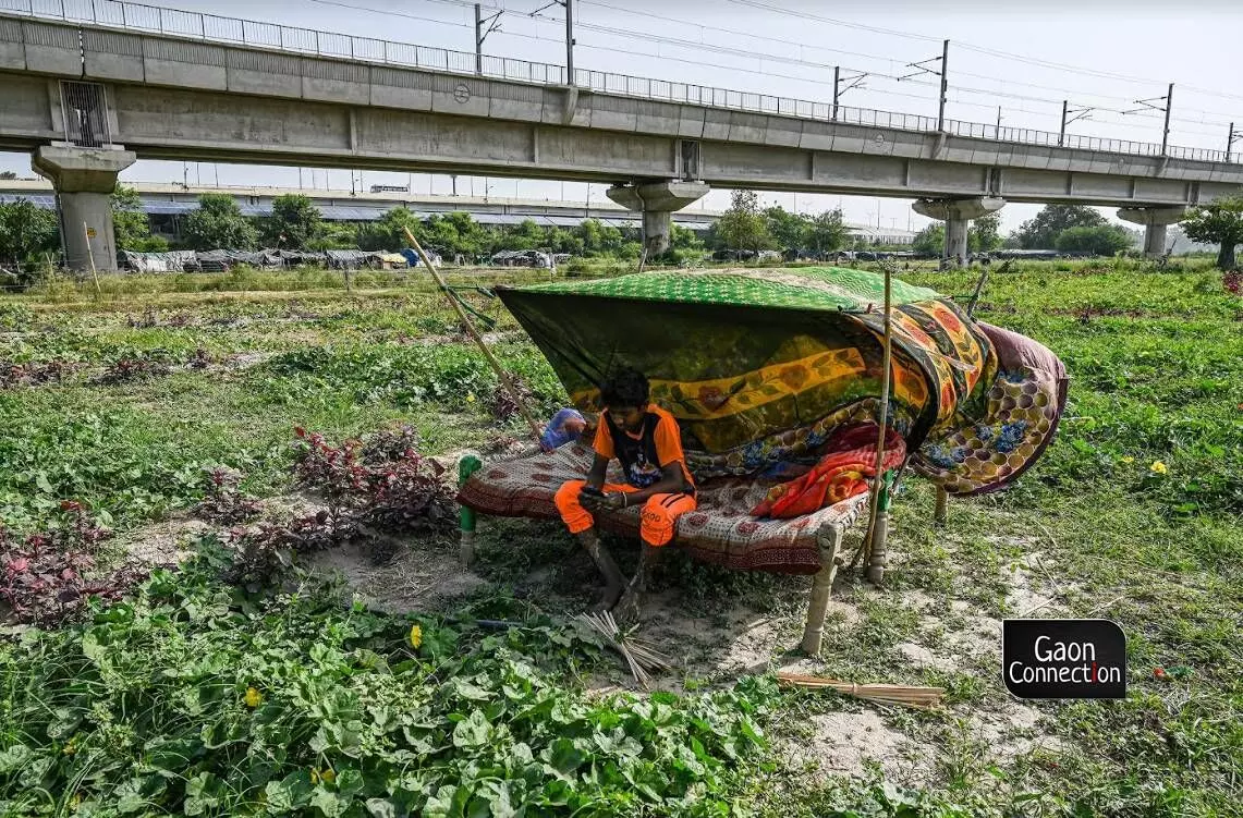 A boy uses his phone while sitting on a cot under the shade of a bedsheet — a typical makeshift arrangement which provides some rest to the cultivators who often use it to guard their crops.