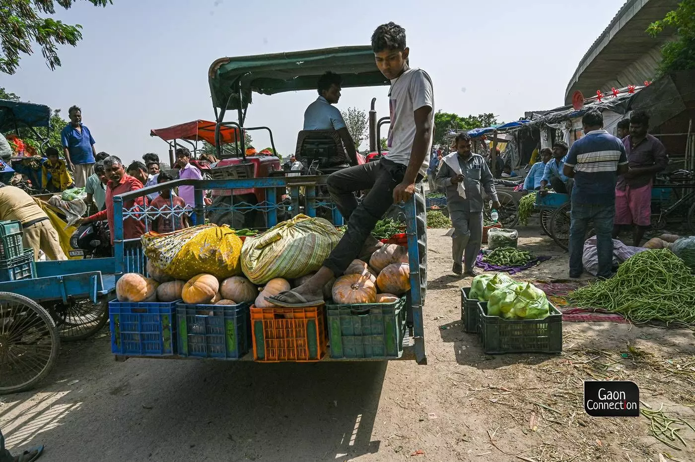 The produce sold at the vegetable market is also supplied to far off areas in Delhi.