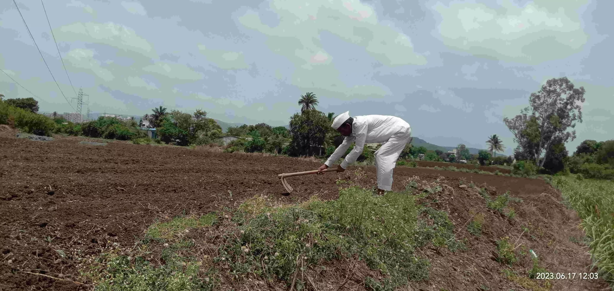 This week we are expecting rain, and hope we dont have to undertake double sowing