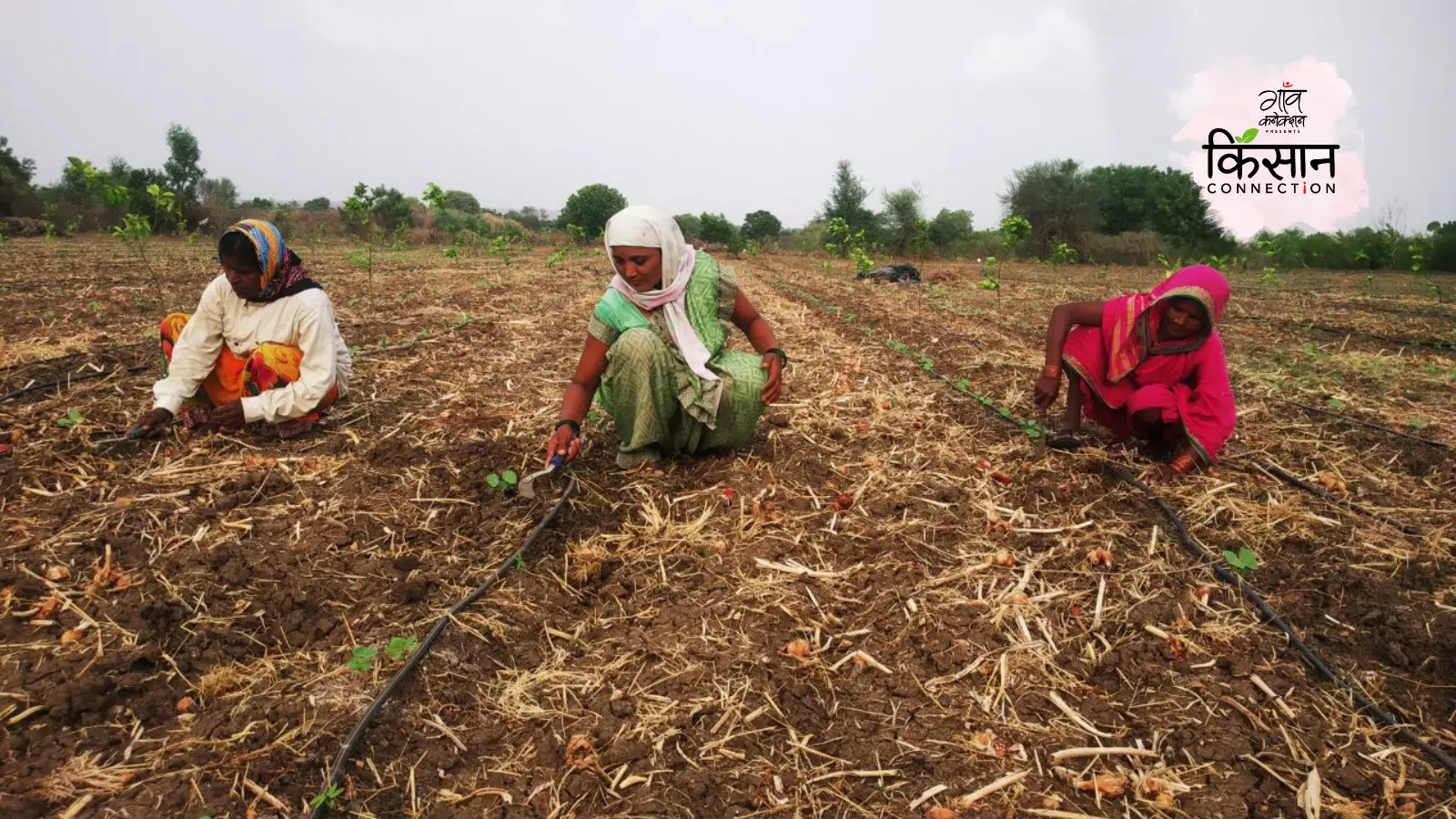 भारतीय मौसम विज्ञान विभाग के अनुसार, 20 जून तक, महाराष्ट्र में वर्षा की कमी (1 जून से 20 जून के बीच) -88 प्रतिशत दर्ज की गई है। आईएमडी के आंकड़ों से पता चलता है कि 119.20 मिलीमीटर की सामान्य बारिश के मुकाबले, राज्य में अब तक केवल 14.90 मिलीमीटर दर्ज़ की गई है। मराठवाड़ा में माइनस 90 फीसदी बारिश हुई है।