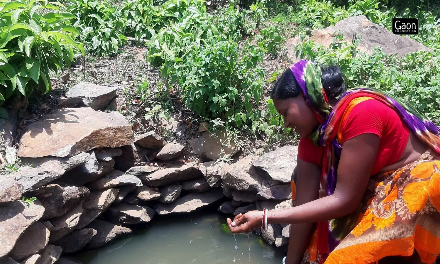 The water in the chaus comes from the nearby Hurhurkocha nala. Villagers along with their cattle have been using the chua water for drinking, bathing and other purposes since the time Kadodiha came into being about three decades ago.