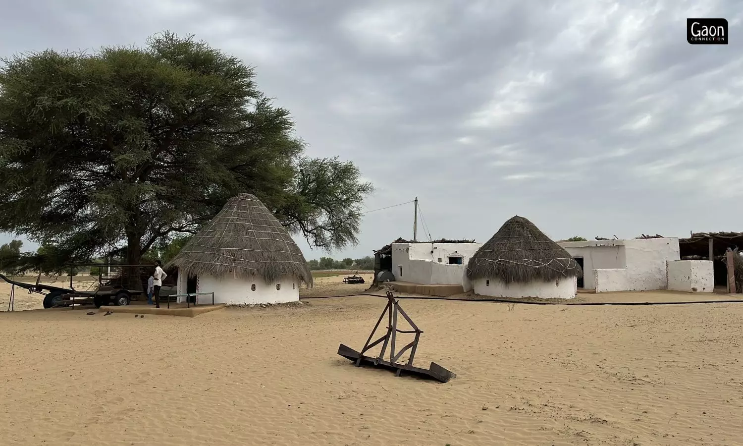 The roofs were constructed in such a way that it ensured that no water entered even when it rained. The kheep also regulated moisture levels within the huts. Photo by Twarita Chouhan.