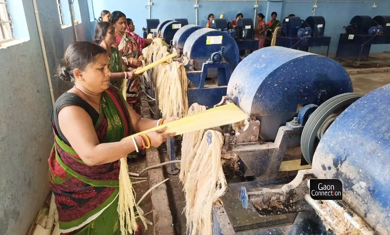 Hemlata Pandey, a Jeevika member from Madhubani district, told Gaon Connection that since 2020, training capsules are being held in several places teaching women how to extract fibres from the banana plant, and turn that into something useful.