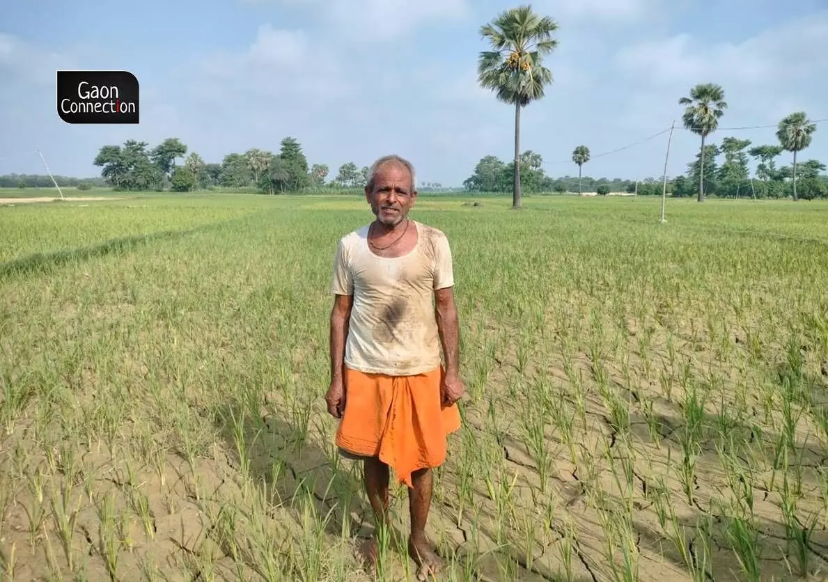 Wheat first, then maize and now paddy, all three crops have failed and Shivaji Kumar, a farmer from Narwara village in Sheohar district worries about how he is going to support his family.