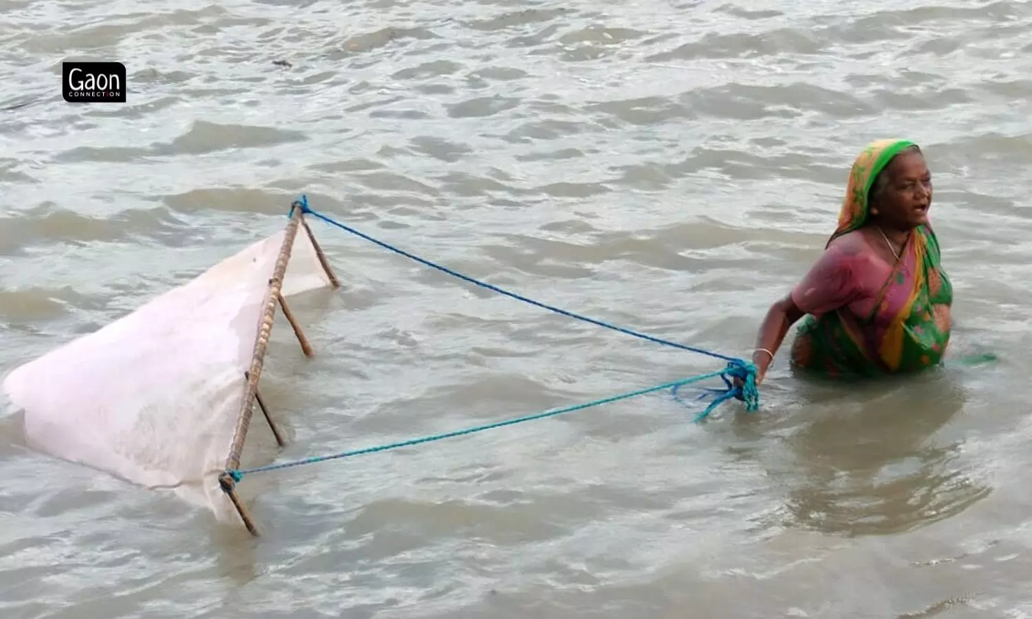 Yashoda Mondol is the oldest in the group of six prawn seedling collectors from her village who venture out together into the Bidyadhari river during low tide.