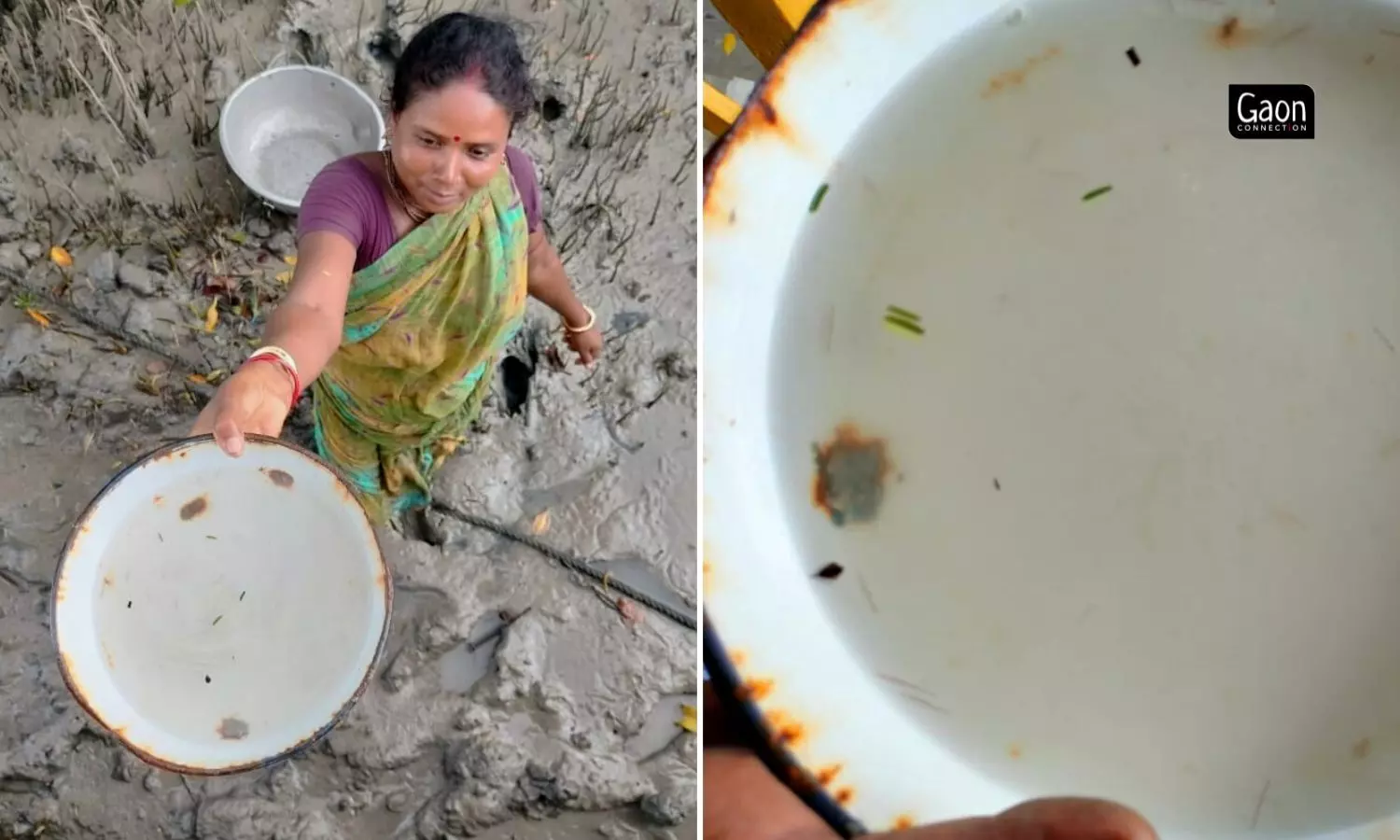 If these women aren’t careful, they can easily miss the brown hair-like prawn seedlings that are less than an inch-long.