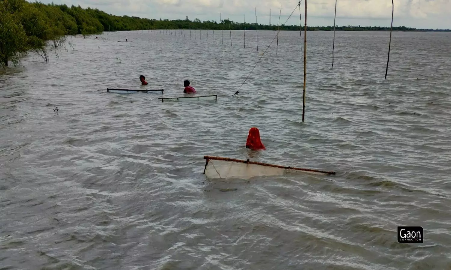 West Bengal is the highest producer of tiger shrimp in India which comes at a cost for the meendharas who suffer physical and mental health problems on account of the work they do.